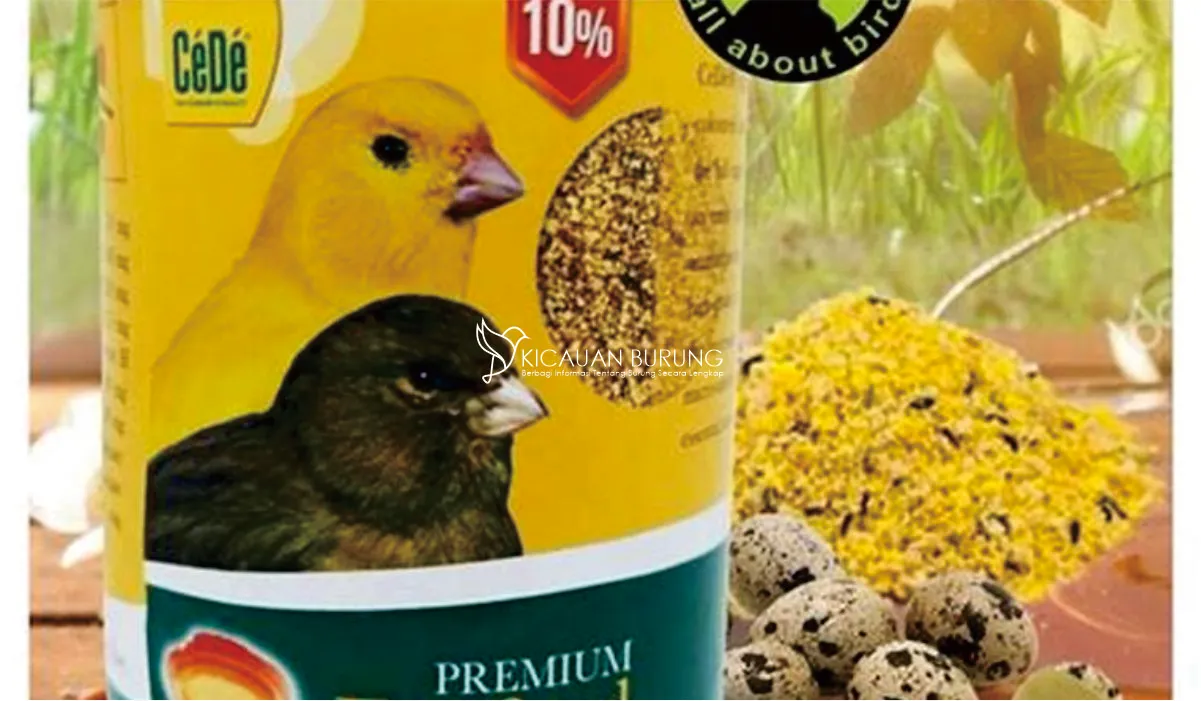 Eggfood Kenari Makanan Terbaik untuk Burung Kenari