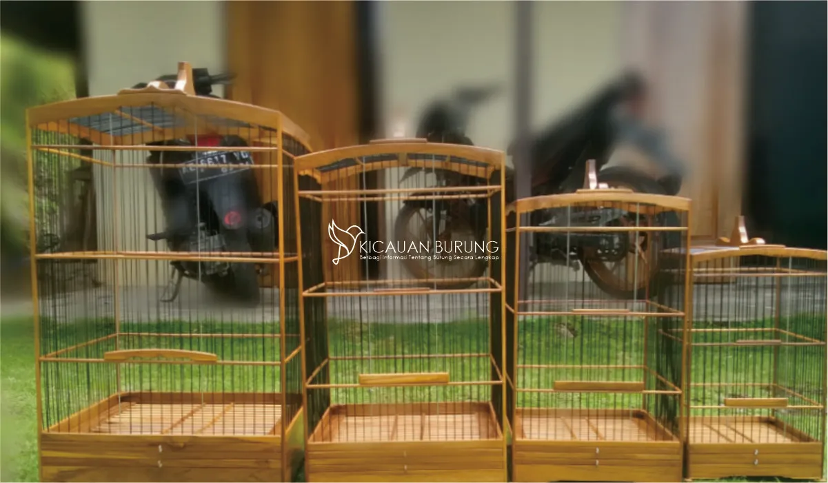 Sangkar Kenari Diamond Tempat Ideal untuk Burung Kenari