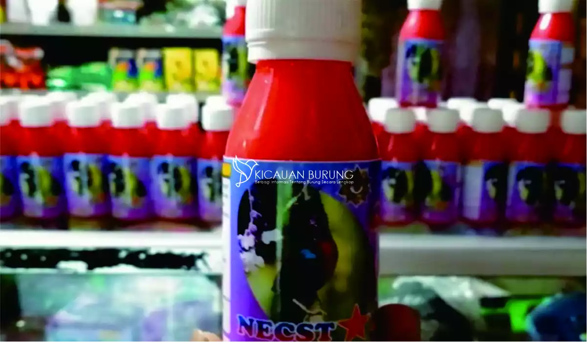 Cara Menggunakan Pakan Konin