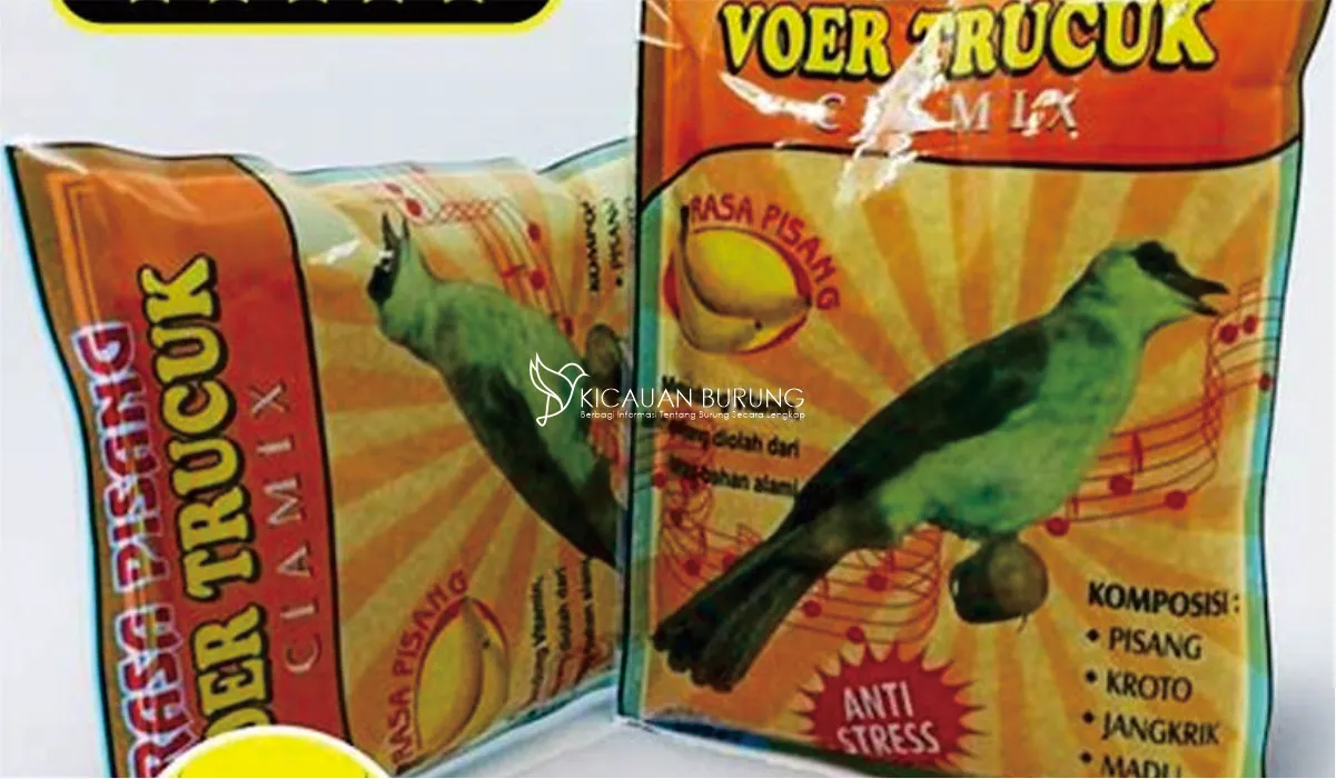 Jenis-Jenis Makanan Burung Trucuk