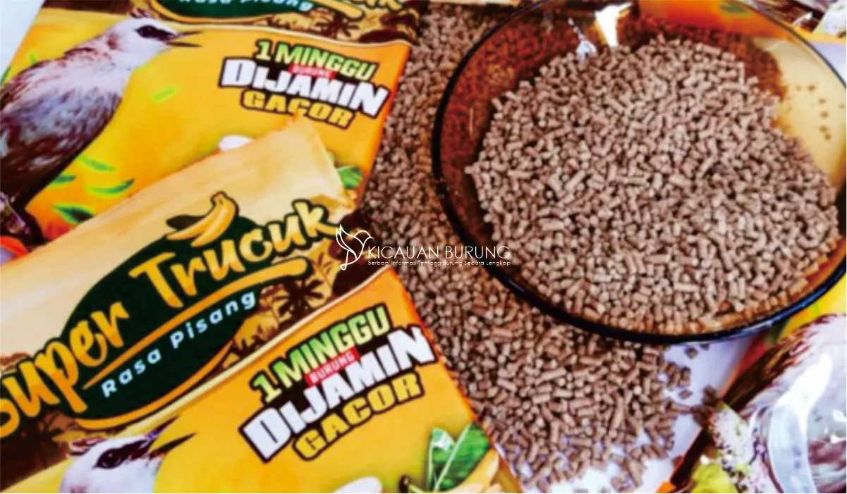 Jenis Pakan Burung Trucuk