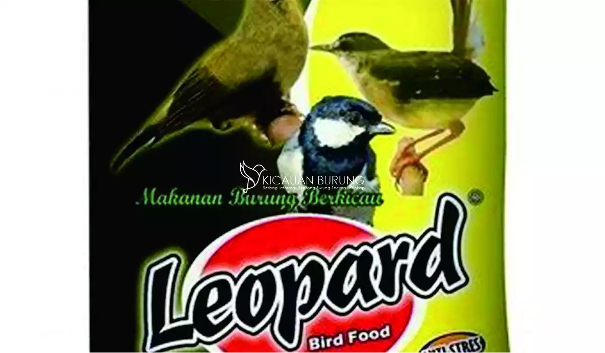 Jenis-jenis Makanan Burung Leopard
