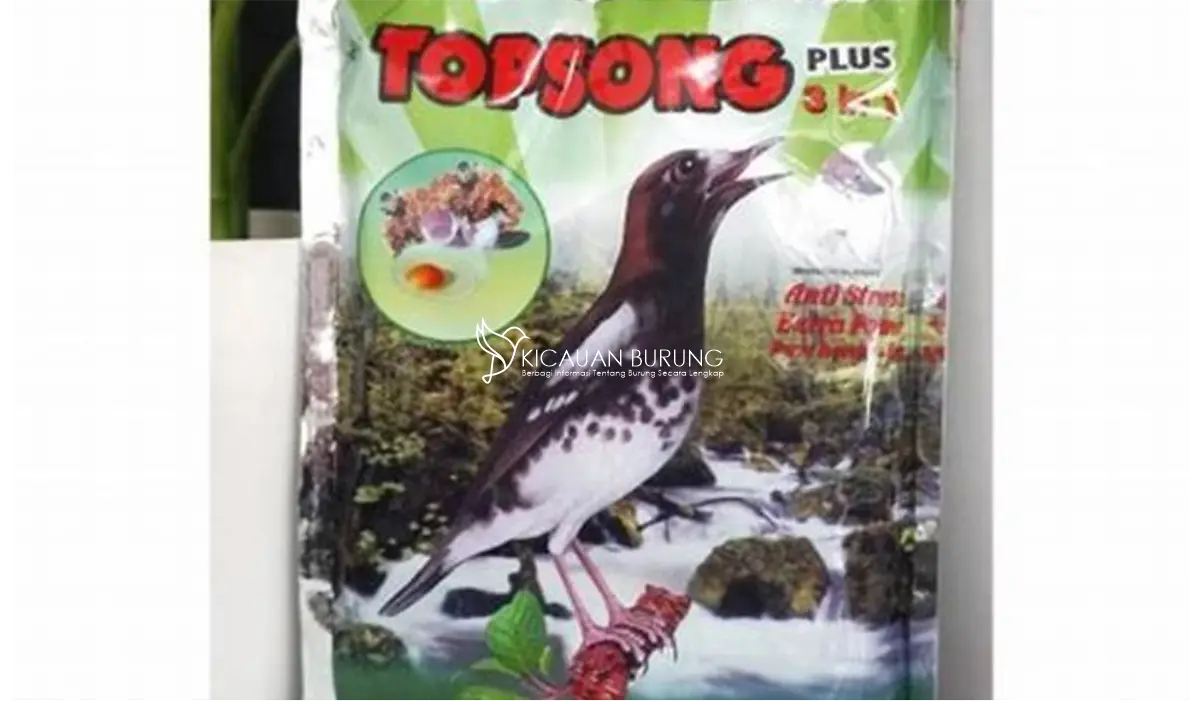 Tips Pemberian Makanan Burung Topsong