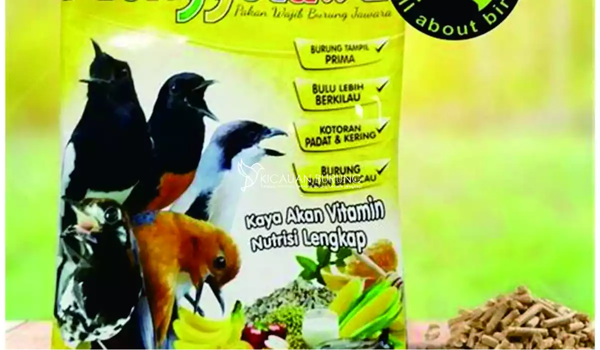 Voer Yang Bagus untuk Cendet